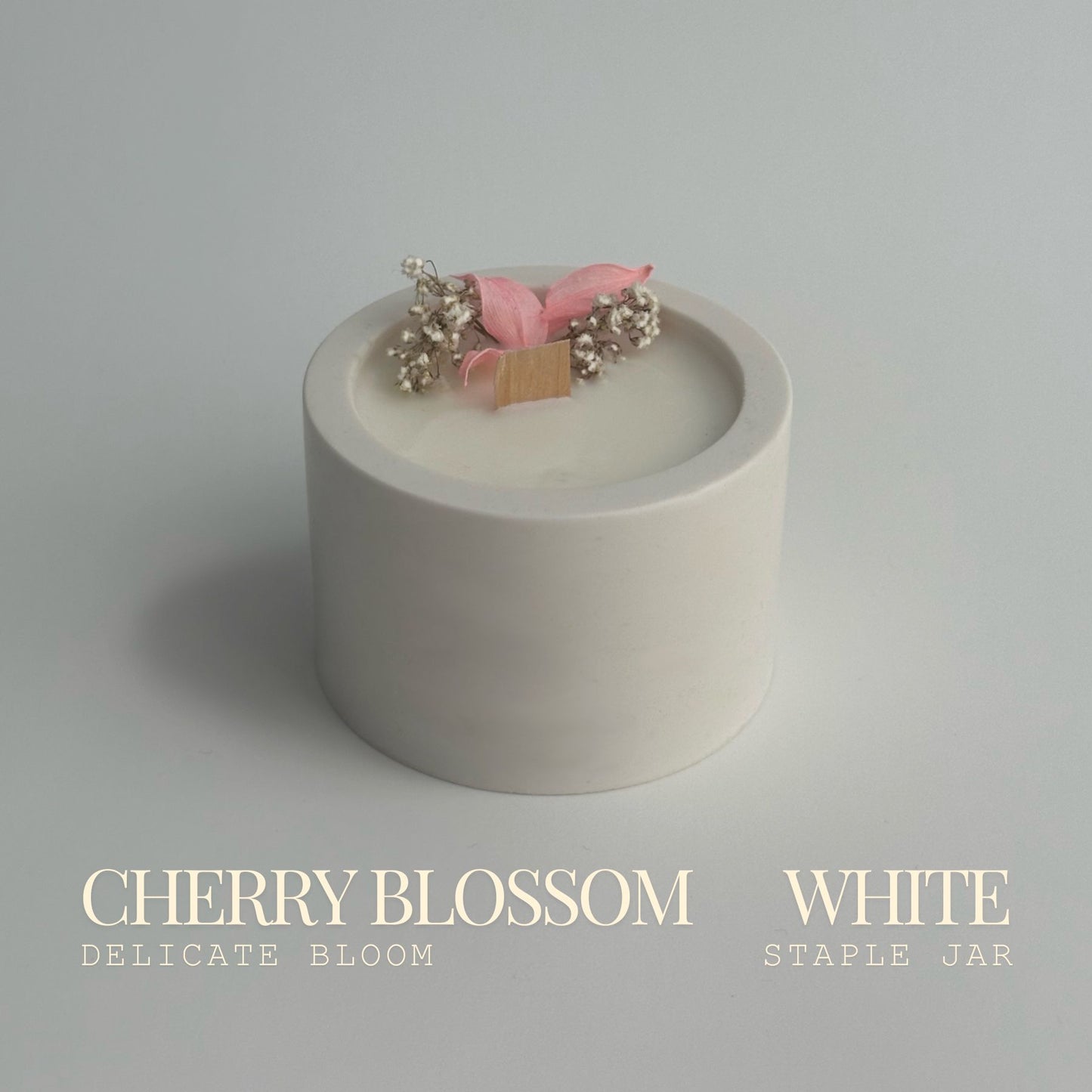Cherry Blossom