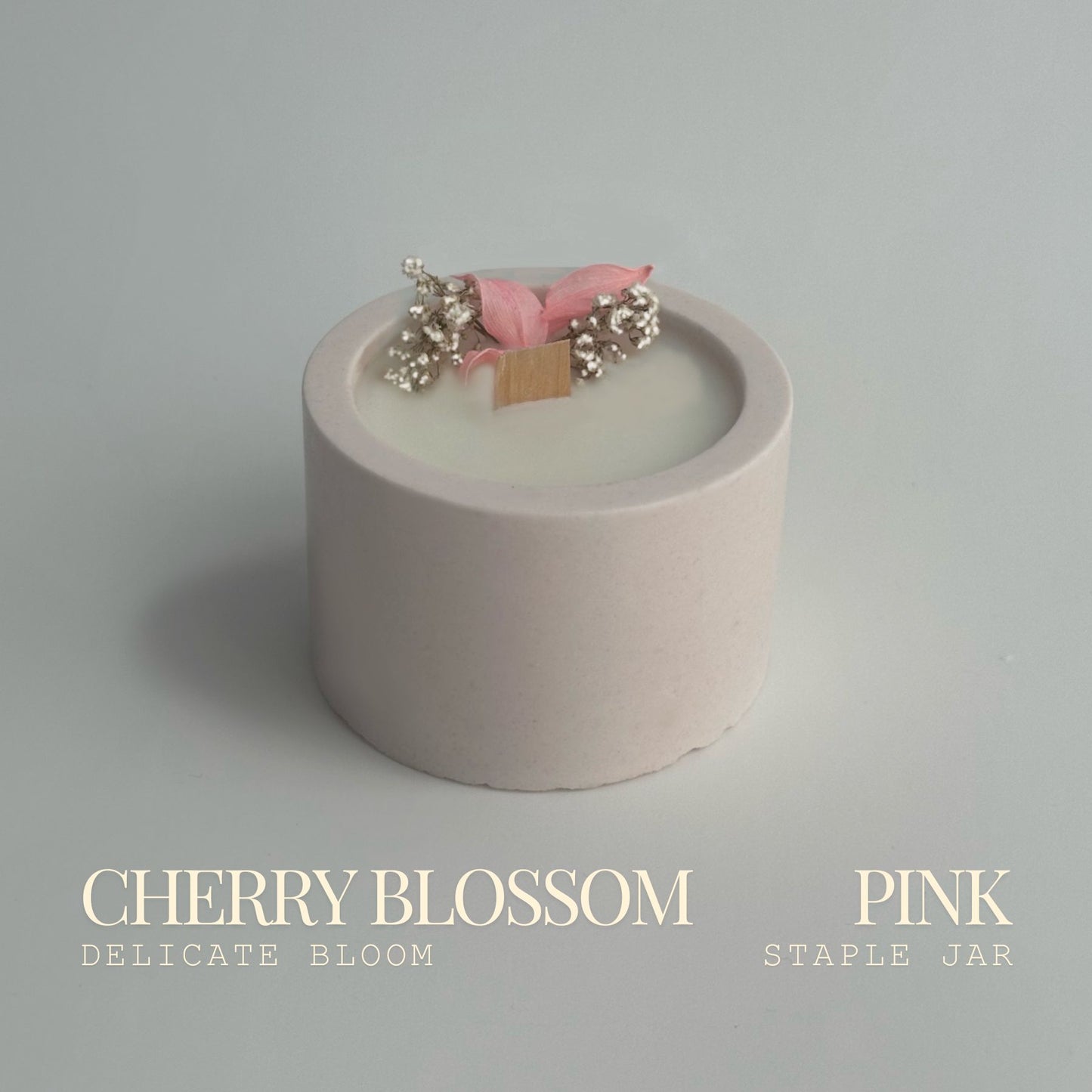 Cherry Blossom