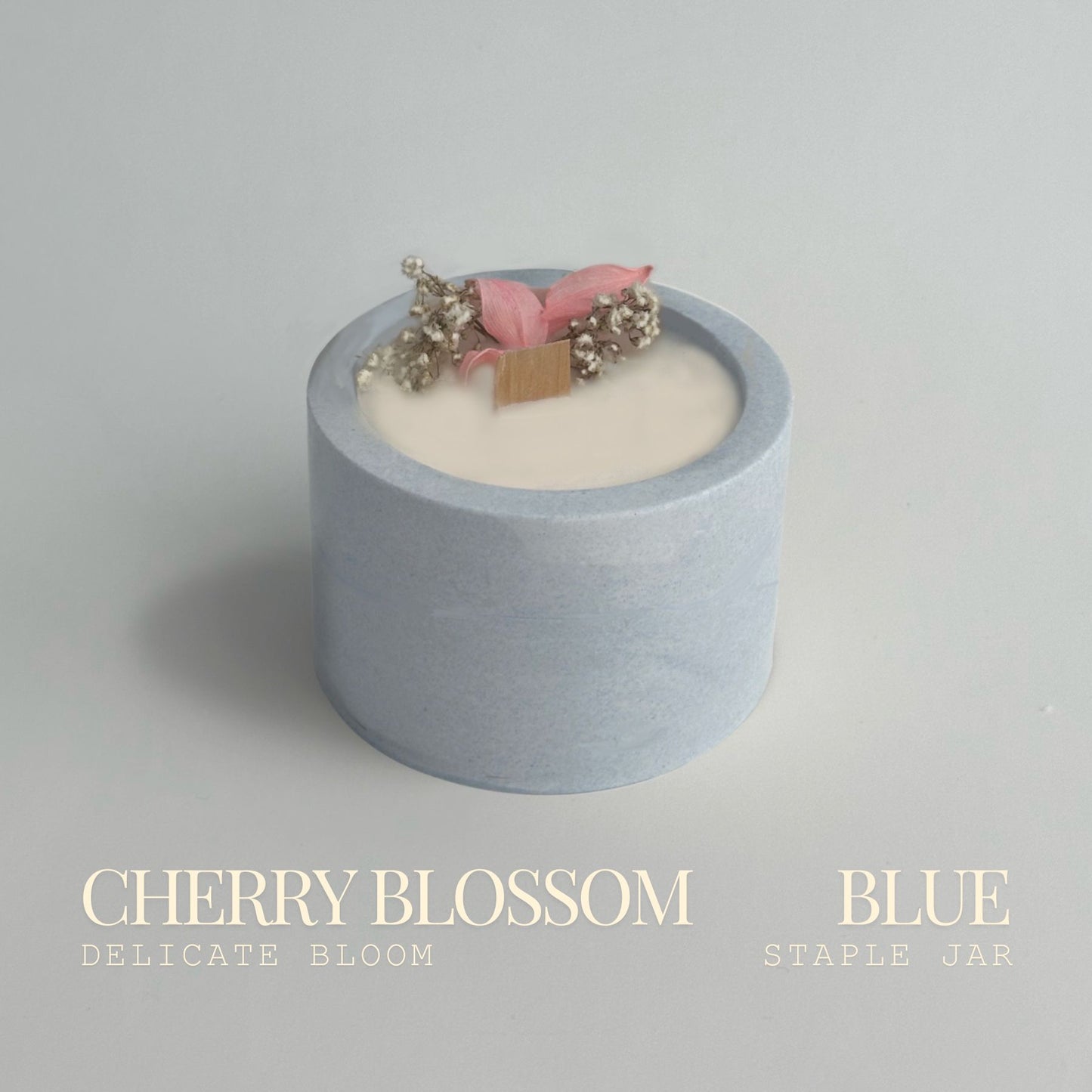 Cherry Blossom