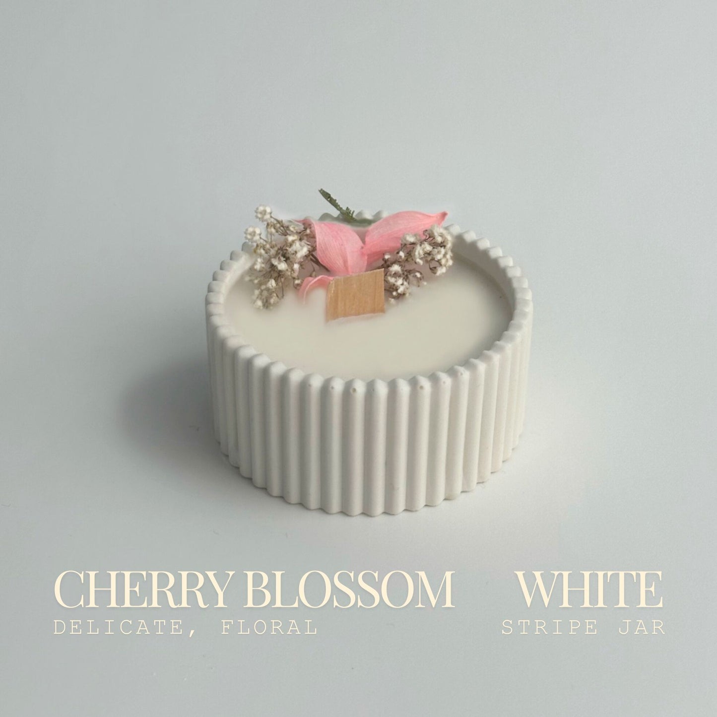 Cherry Blossom