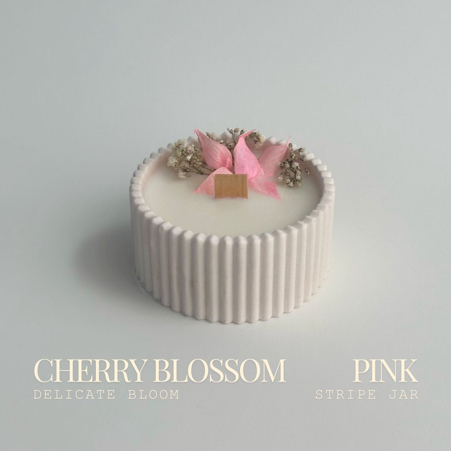 Cherry Blossom