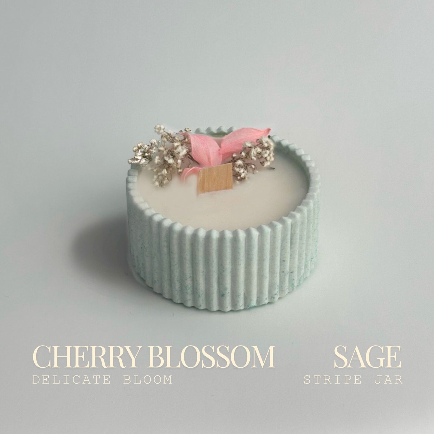 Cherry Blossom