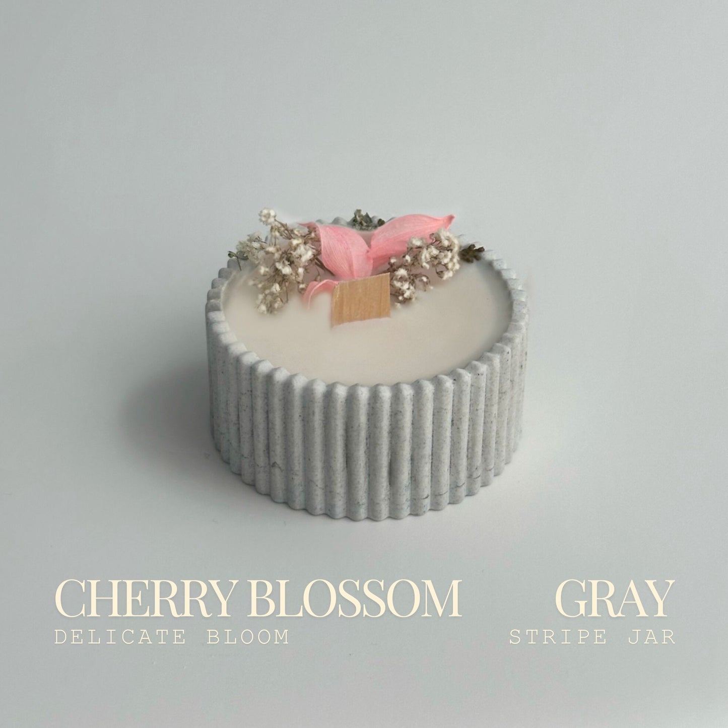 Cherry Blossom
