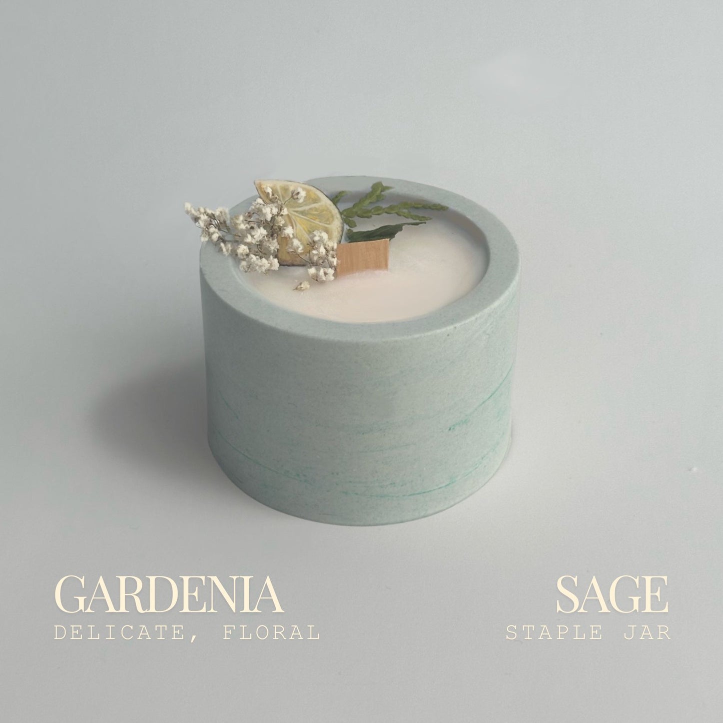 Gardenia