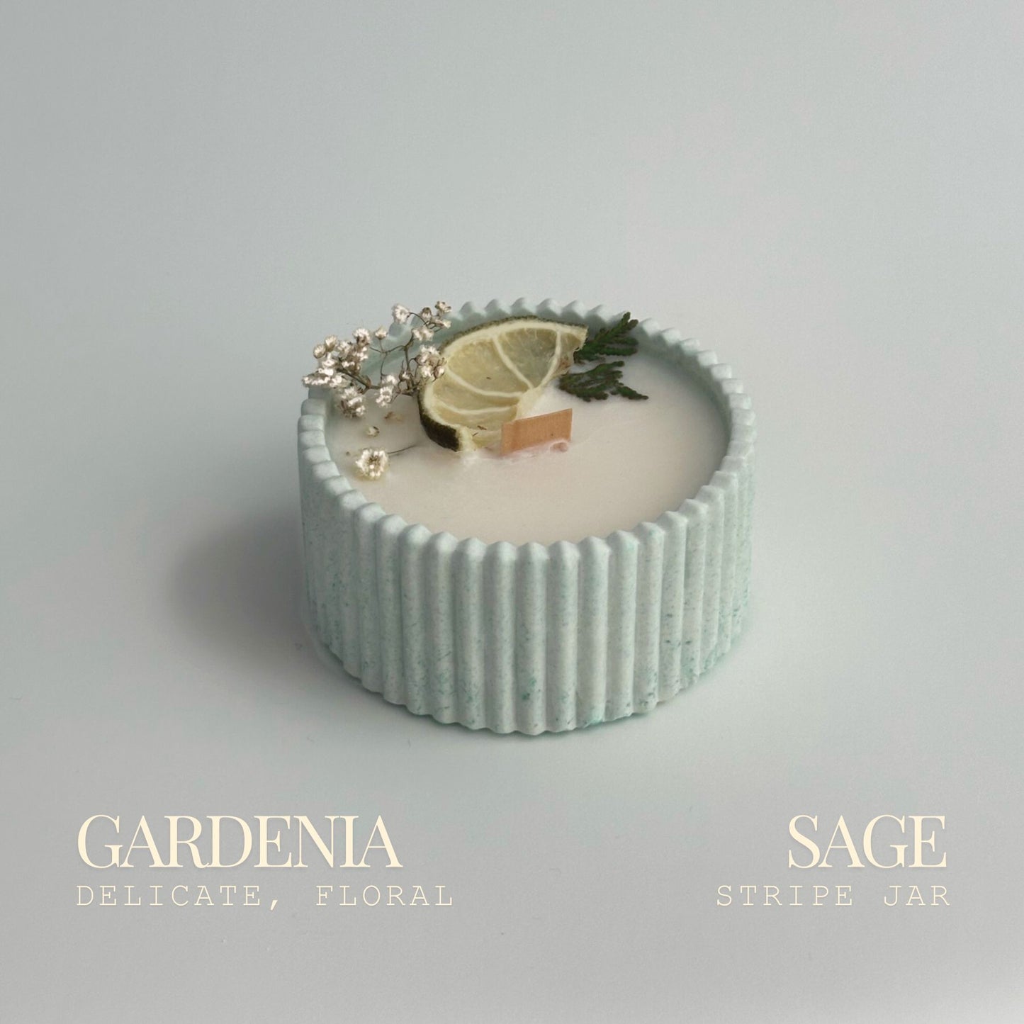 Gardenia