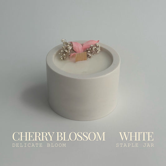 Cherry Blossom