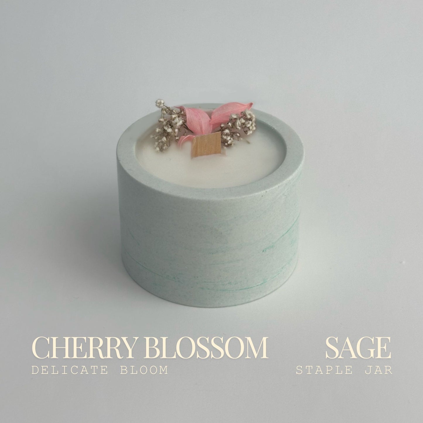 Cherry Blossom