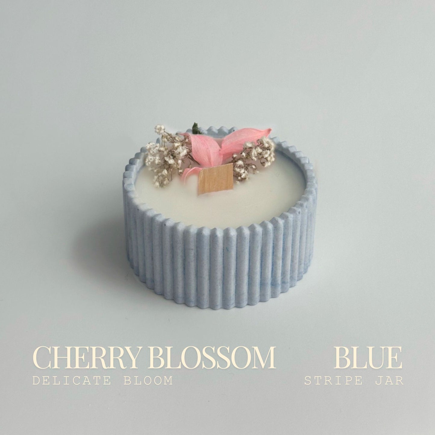 Cherry Blossom